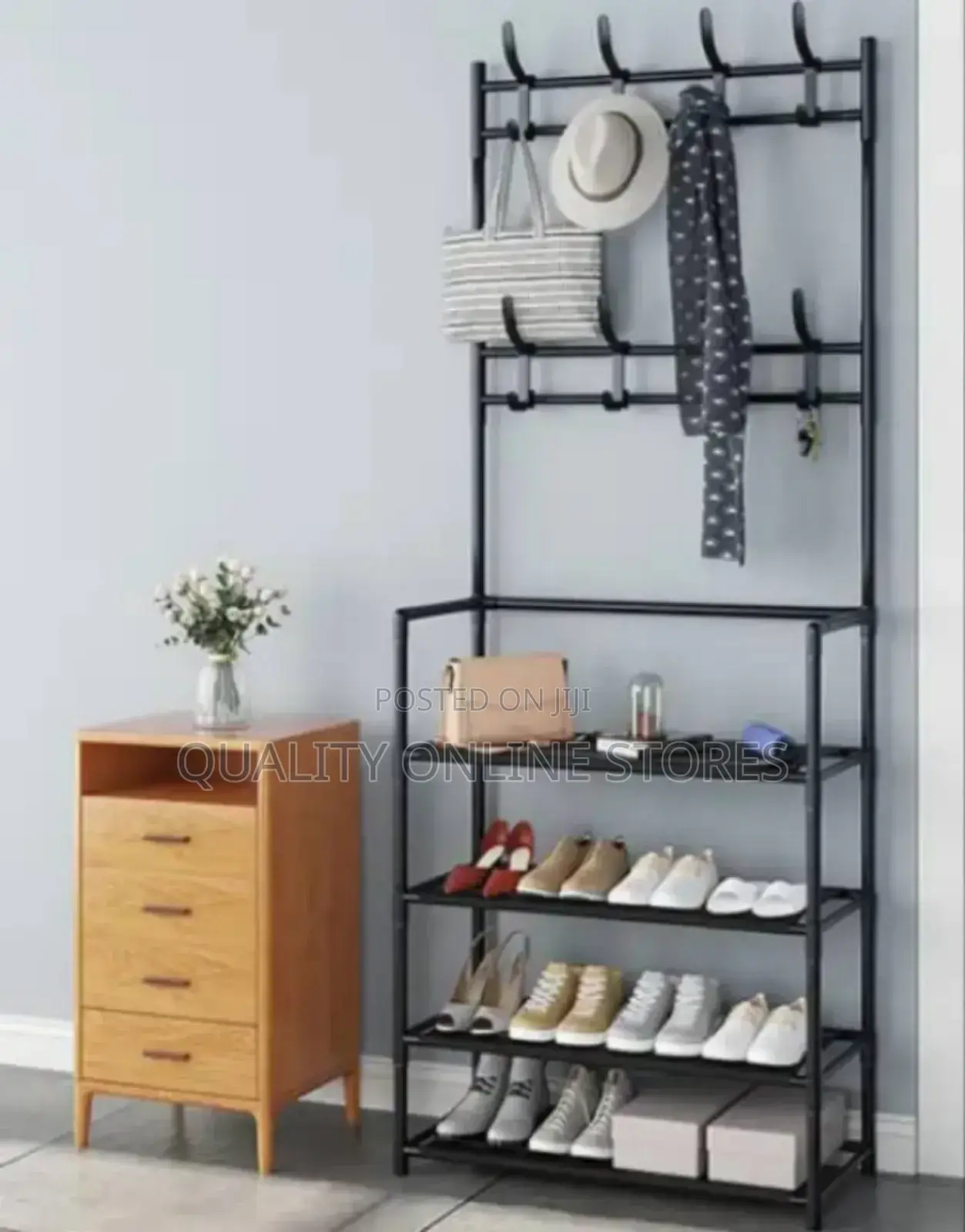Metallic Hat and Shoe Rack