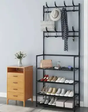 Metallic Hat and Shoe Rack
