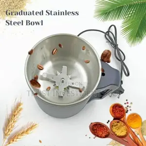 Photo - Stainless Steel and Blade Spice Grinder