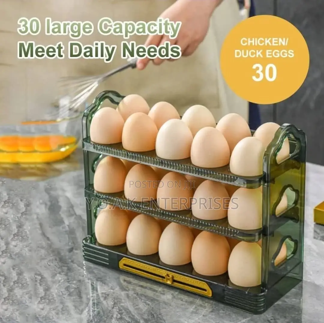 Modern Egg Tray .