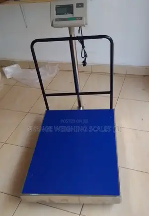 Industrial Weigh Strong Platform Weigh Scale A12e 500kg Weighing Scale