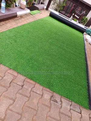 Multi Purpose Morden Grass Carpet Use