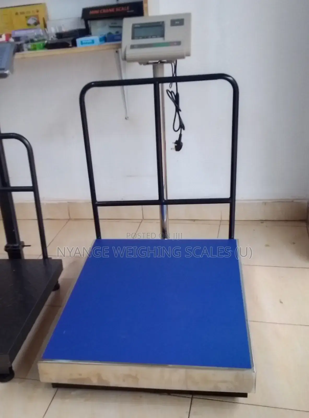 Weighing Industrial Scale A12e 500kg D=50g