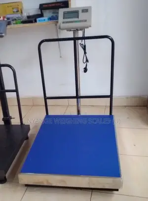 Weighing Industrial Scale A12e 500kg D=50g