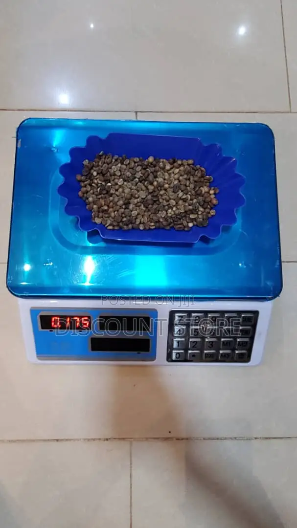 Digital DT05 - CC Commercial Shop Weighing Scale 60kg