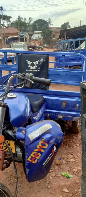 Tricycle 2025 Blue