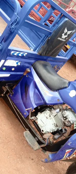Tricycle 2025 Blue