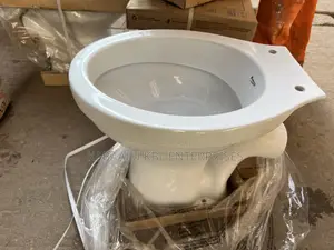 Ordinary Toilet Pan P Trap Sitting