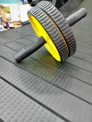 Gold's Gym Dual Wheel Exercise AB Wheel