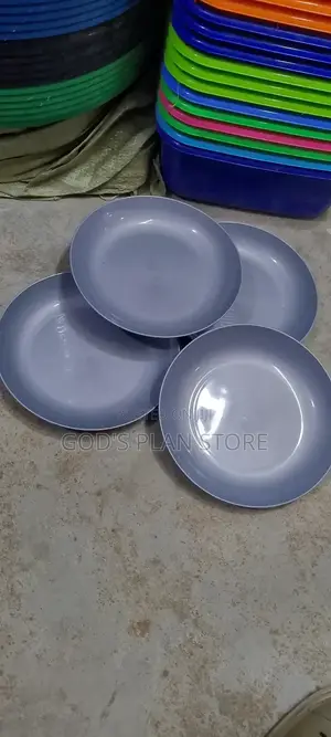 Gray Plastic Plates (Dinner Plates)