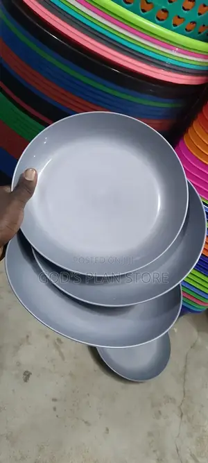 Gray Plastic Plates (Dinner Plates)
