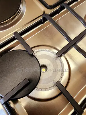Globalstar Stainless Steel Gas Cooker 50cm by 50cm
