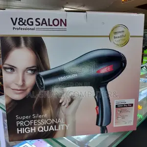 Hand Held Dryer/v G Salon Professional Hair Drier