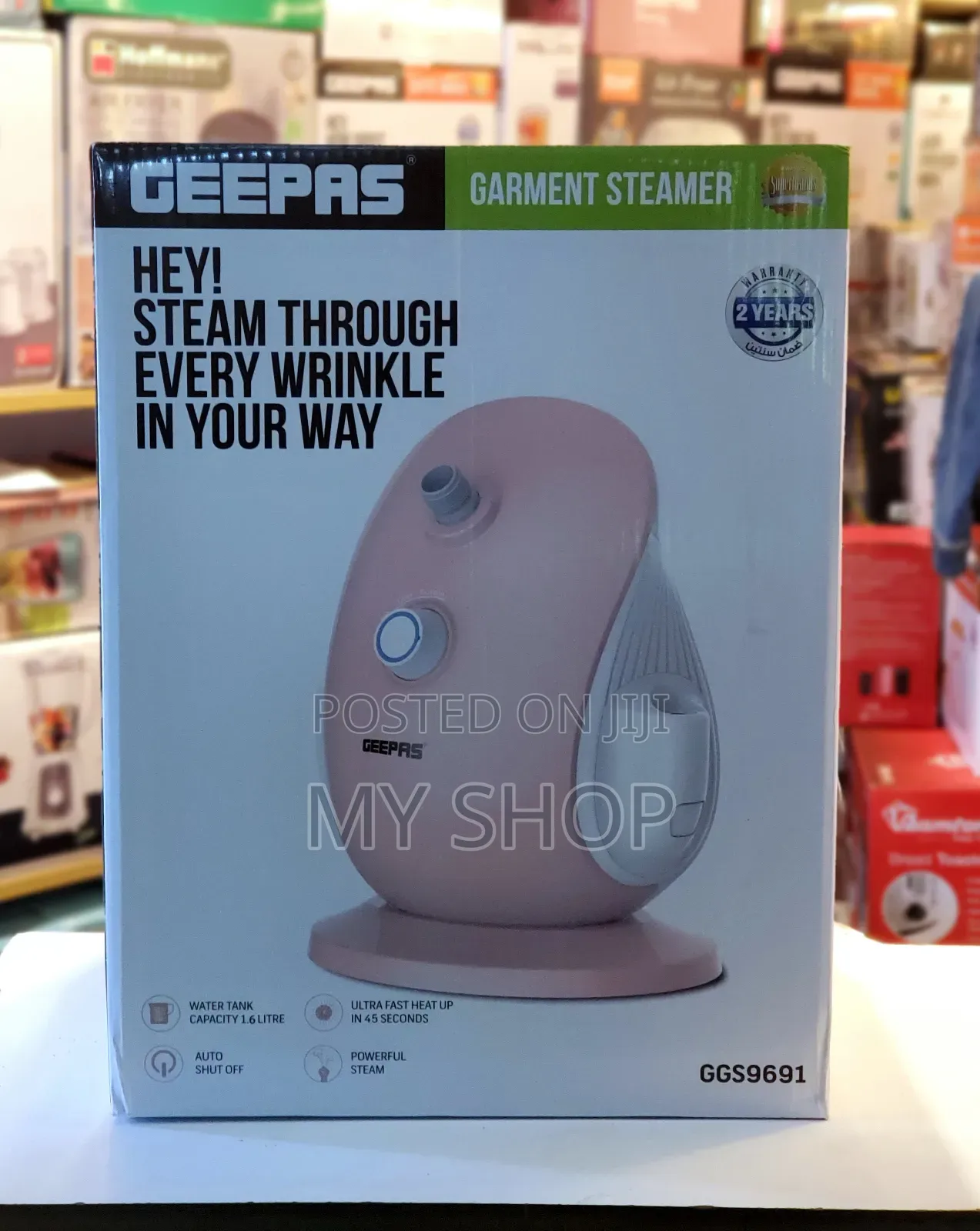 Garment Steamer Ggs9691