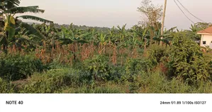 Plot for Sale Kiwenda