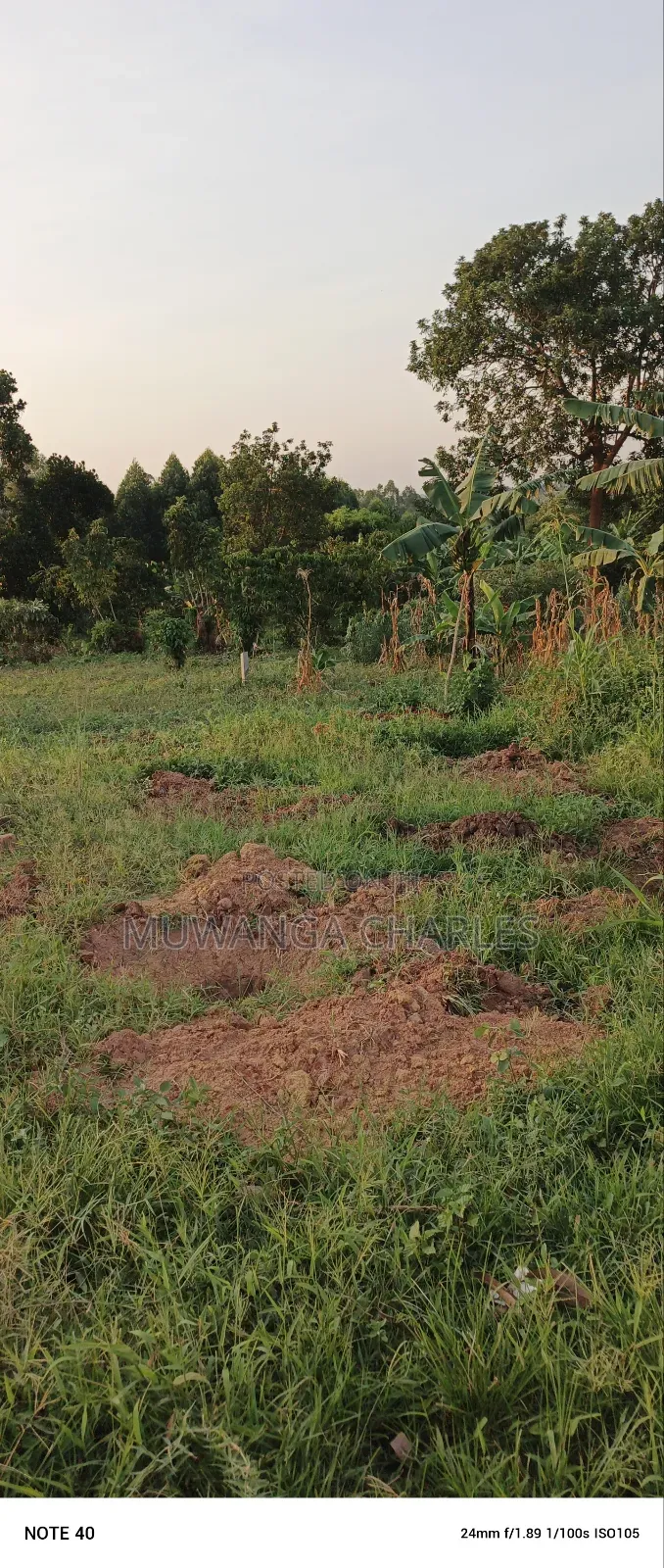 Plot for Sale Kiwenda