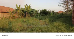 Plot for Sale in Kiwenda Phase 2