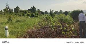 Plot for Sale in Gayaza Kiwenda