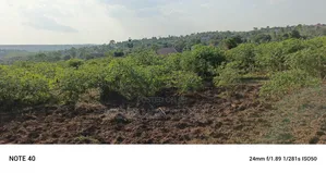 Plot for Sale in Kiwenda Phase 4