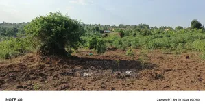 Plot for Sale in Kiwenda Phase 4