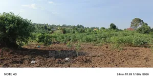 Plot for Sale in Kiwenda Phase 4