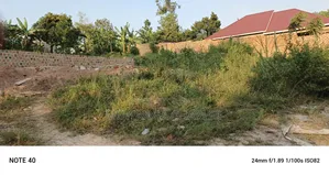 Plot for Sale in Kiwenda Luwunga