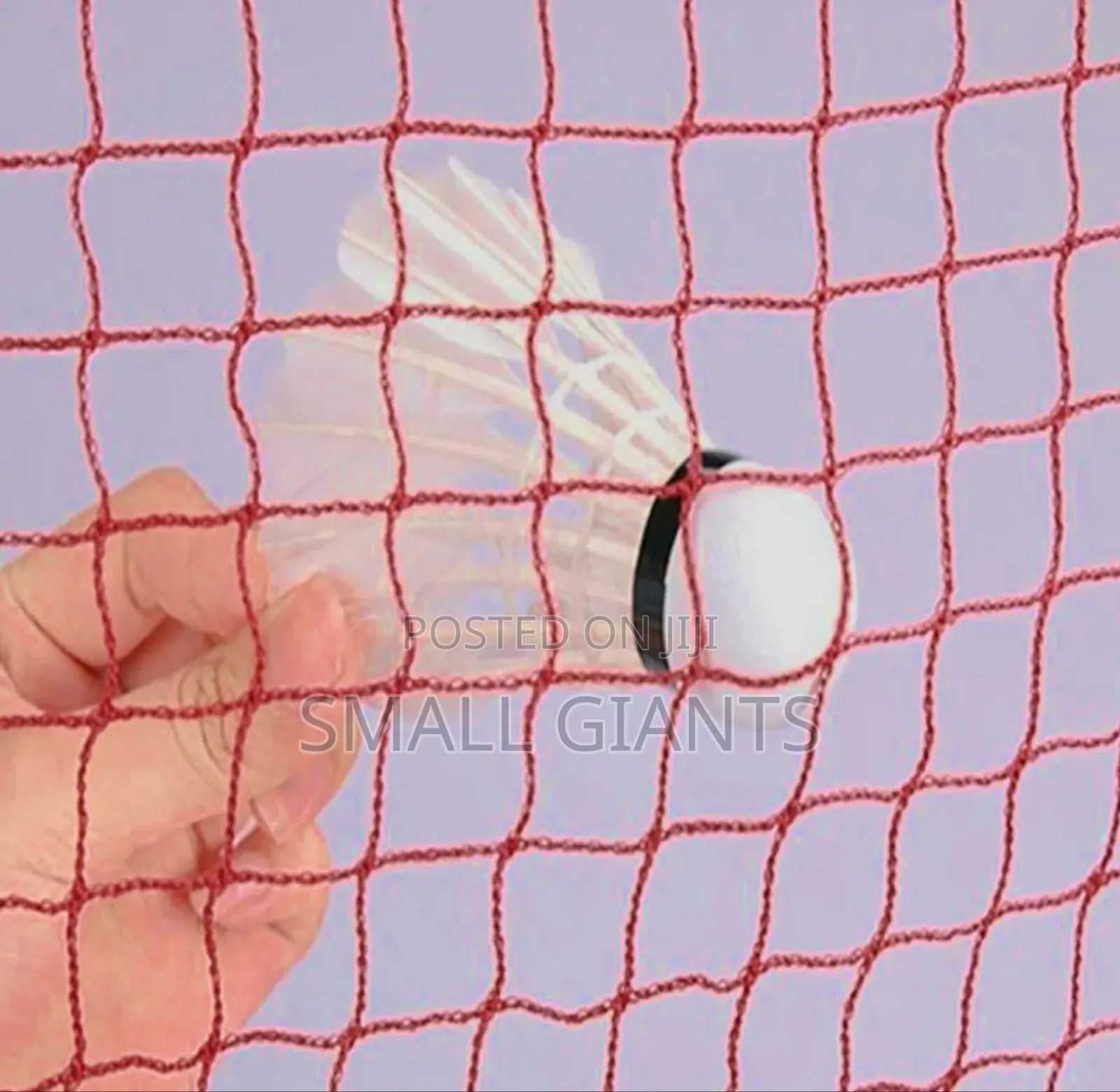 Professional Badminton Sports Game Net - Burgundy