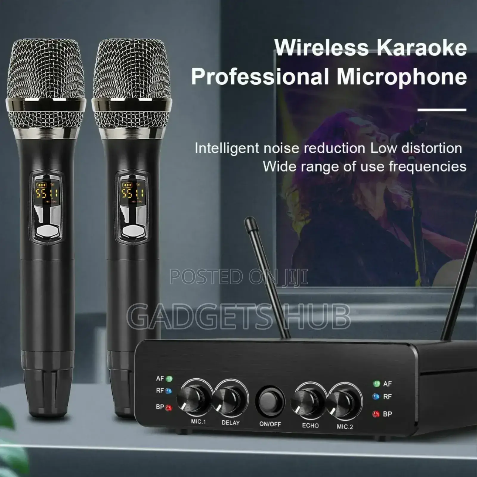 2 Channel Wireless Microphone Dual Way Dynamic
