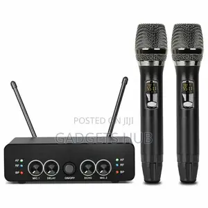 2 Channel Wireless Microphone Dual Way Dynamic