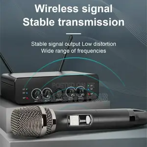 2 Channel Wireless Microphone Dual Way Dynamic