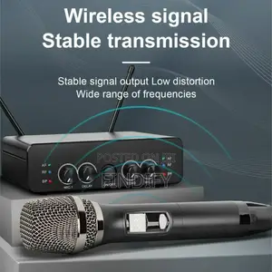 2 Channel Wireless Microphone Dual Way Dynamic
