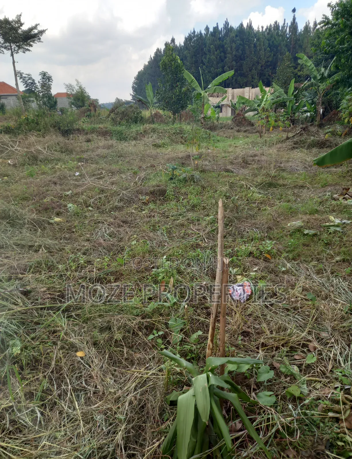 50*100 Plots for Sale in Bweyogerere Kiwanga.