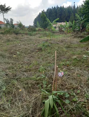 Photo - 50*100 Plots for Sale in Bweyogerere Kiwanga.