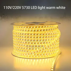 Flexible Light Strip Light Building Lighting