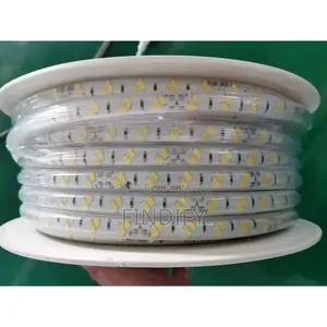 Flexible Light Strip Light Building Lighting
