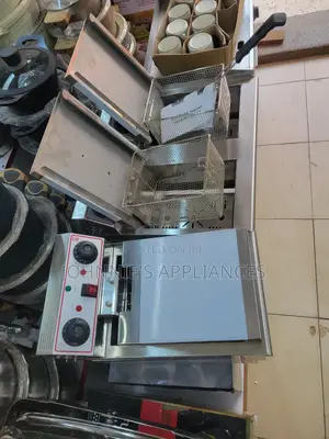 Double Electric Deepfryer Commercial 8+8L Capacity 16L