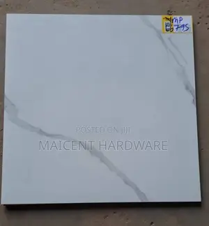 60 by 60 Twyford Floor Tiles