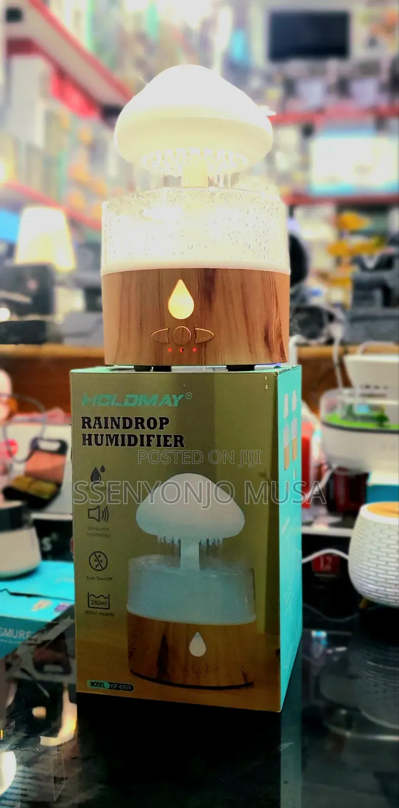 Rain Cloud Humidifier-3-in-1 Humidifier,Oil Diffuser Light
