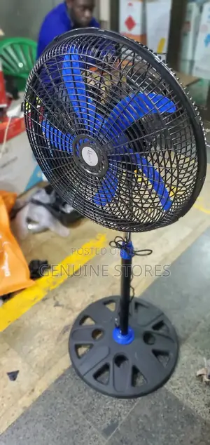 Roch Stand Fan Black