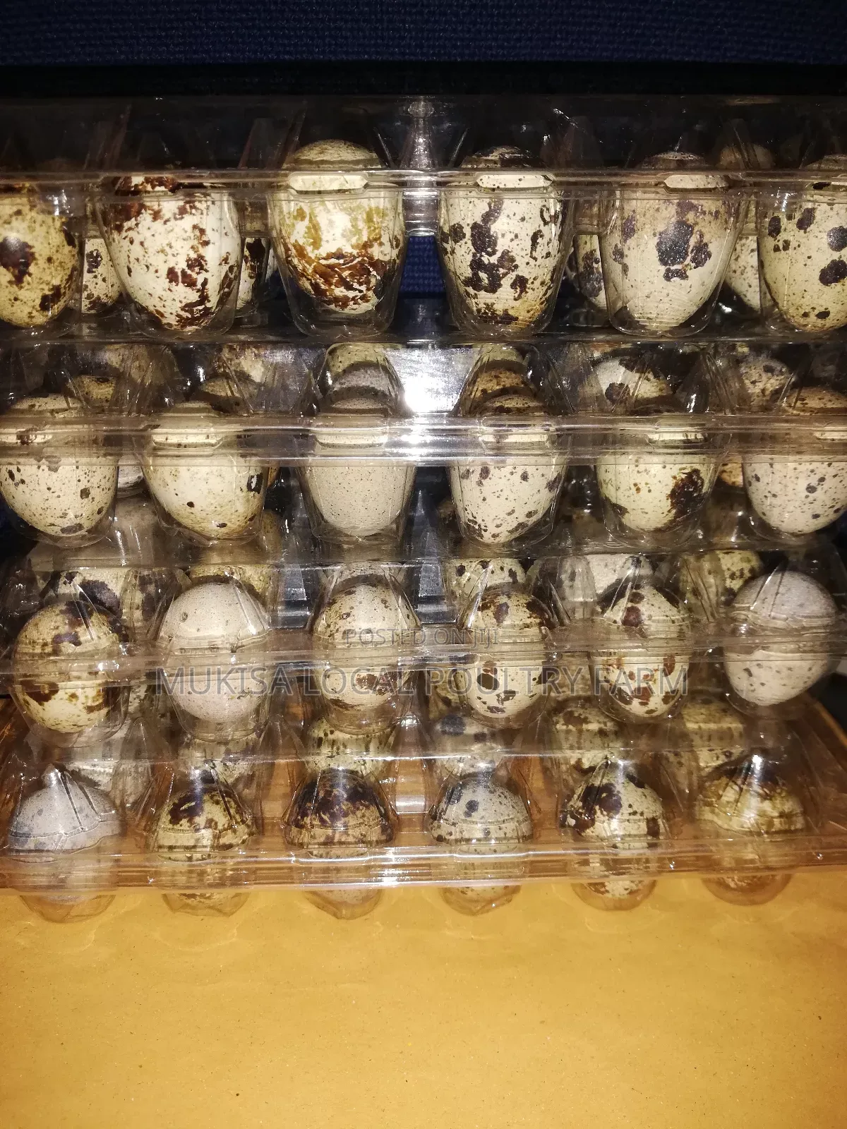 Quails and Quail Eggs