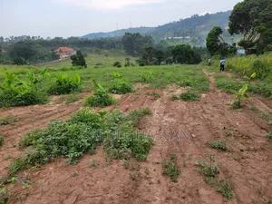 Photo - 50ft X 100ft/ 11 Decimals for Sale at Kakiri