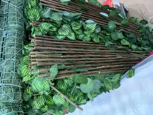Wall Plants Decorations Bunch
