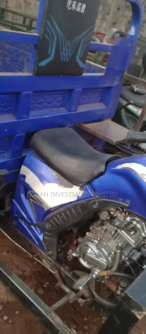 Tricycle 2024 Blue
