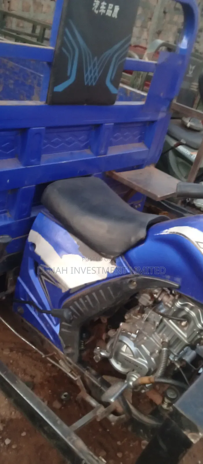 Tricycle 2024 Blue