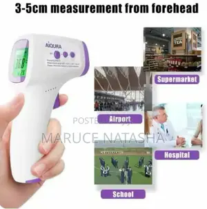 Temperature Gun
