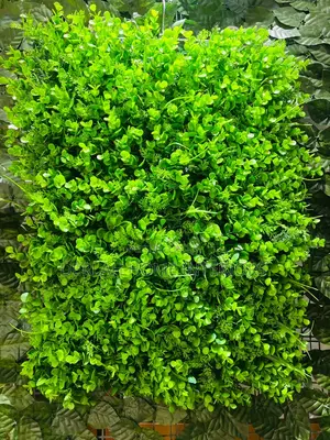 Artificial Green Wall Hanging