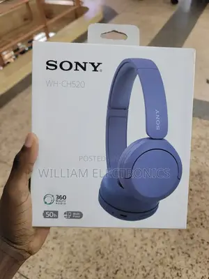 Sony WH-CH520 Headphones