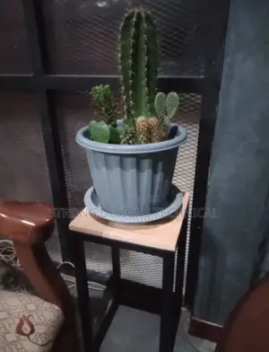 Side Table / Plant Stand / Flower Pot Stand.