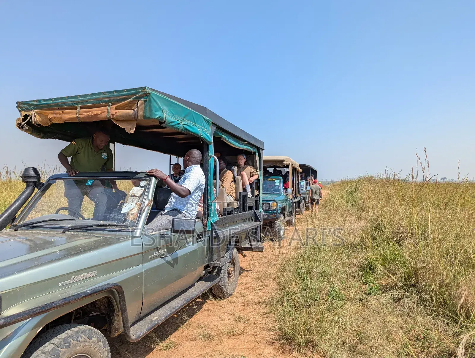 Experience Murchison Falls in 24 Hours: Wildlife, Waterfalls Advent