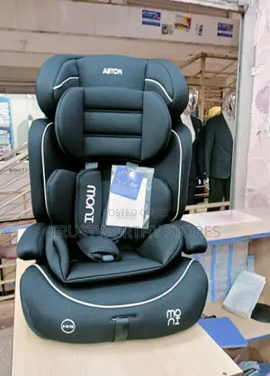 Adjustable and Flexible Baby Car Seat